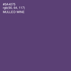 #5A4075 - Mulled Wine Color Image